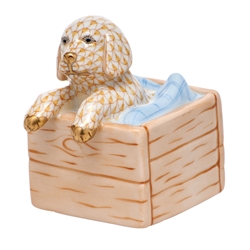 Herend Puppy in Crate Butterscotch Fishnet